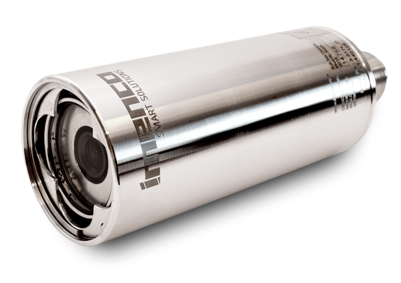 Silvertip_isolated_big